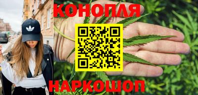 индика Нальчик